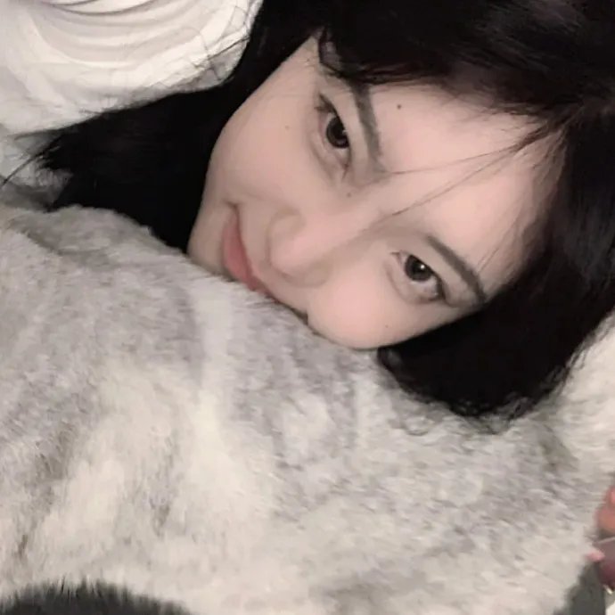 科搜研之女第24季